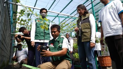 PLN UIT JBM Dukung Pengembangan Agroeduwisata Smart Farming Anggur melalui Program TJSL di Kediri