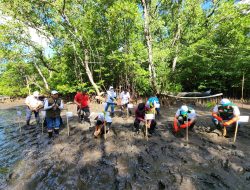 PLN UIT JBM Tanam 5.000 Bibit Mangrove di Bali, Wujud Komitmen Pelestarian Lingkungan dan Pengendalian Perubahan Iklim