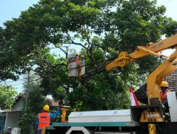 Sambut HUT RI ke-80, PLN Gelar Pemeliharaan Tanpa Padam di Berbagai Wilayah
