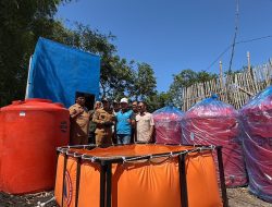 Jelang HUT RI ke 80, PLN Operasikan Pompanisasi Persawahan dan Akses Air Bersih
