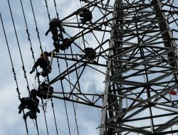 Listrik Madura Aman! PLN UIT JBM Tuntaskan Perbaikan Tower Kritis Ujung–Bangkalan