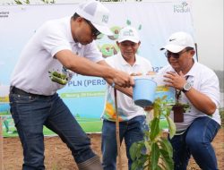 Wujudkan Kolaborasi Hijau, PLN Grup Jawa Timur Tanam 10.000 Pohon di Selorejo