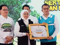 Dukung Transisi Energi Bersih, PLN Jatim Raih Penghargaan Gubernur di Festival Mangrove Jatim