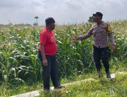 Kapolresta Sidoarjo Instruksikan Jajaran Optimalkan Program Ketahanan Pangan