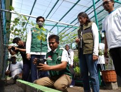 Sukses Kembangkan Agroeduwisata Anggur di Kediri, Program TJSL PLN UIT JBM Berhasil Tembus Nominator TOP CSR Award 2026