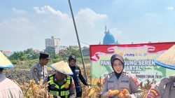 Polsek Taman Panen Jagung Serentak, Dukung Ketahanan Pangan Nasional