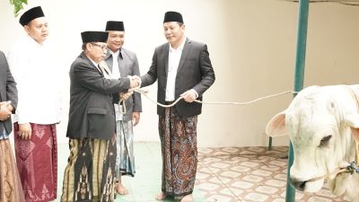 Bupati Subandi serahkan 1 ekor Sapi 800 Kg kepada masjid agung dan Sapi Presiden Disalurkan ke Jabon.