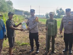 Polsek Candi Serahkan Bibit Jagung Hibrida Perkasa kepada Petani, Perkuat Ketahanan Pangan di Sidoarjo
