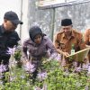 Wabup Sidoarjo Apresiasi UMKM Herbal Teh Daun Kumis Kucing