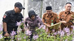 Wabup Sidoarjo Apresiasi UMKM Herbal Teh Daun Kumis Kucing