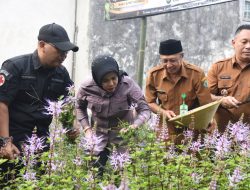 Wabup Sidoarjo Apresiasi UMKM Herbal Teh Daun Kumis Kucing