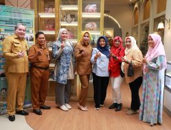 Terima Audiensi Wakil Walikota Banjarmasin, Wabup Mimik Bahas  Optimalisasi Potensi Daerah dan Penguatan UMKM