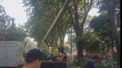 Masyarakat Diminta Segera Melapor Ketika Melihat Pohon Berisiko Tumbang