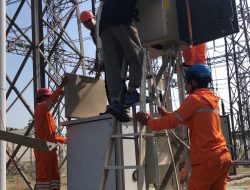 PLN UIT JBM Berikan Peningkatan Sistem Proteksi Bagi Pelanggan Industri Strategis di Gresik