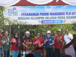 PLN UIT JBM Tanam 16.500 Bibit Mangrove di Bali, Perkuat Komitmen Pelestarian Ekosistem Pesisir