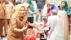 Bantu Mobilitas Warga, Wabup Mimik Salurkan Kursi Roda di Desa Candi dan Sumorame